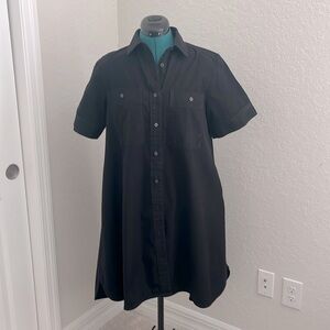 Everlane The Day Tripper Shirtdress